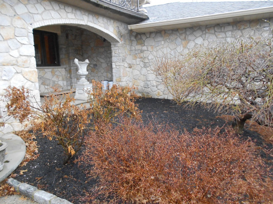 5 Stenger 3a BEFORE  4-15 (8)